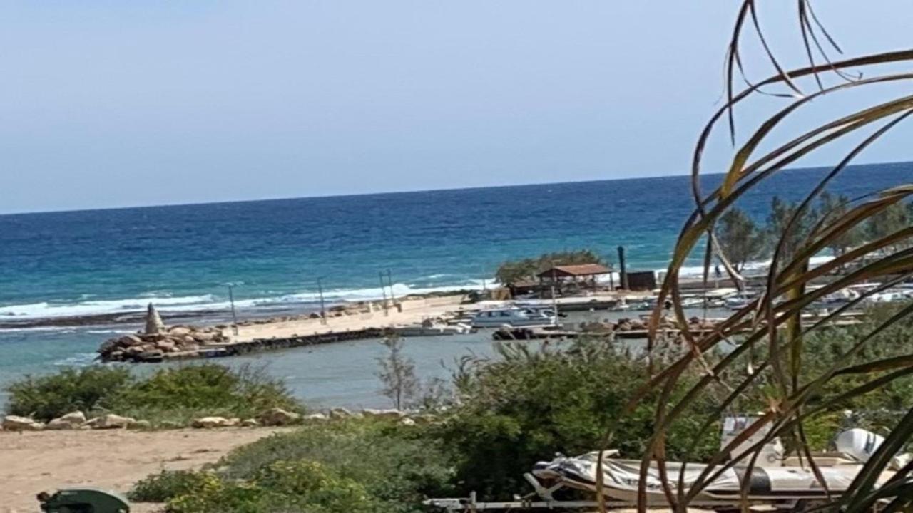 Villa Emiliana باراليمني المظهر الخارجي الصورة
